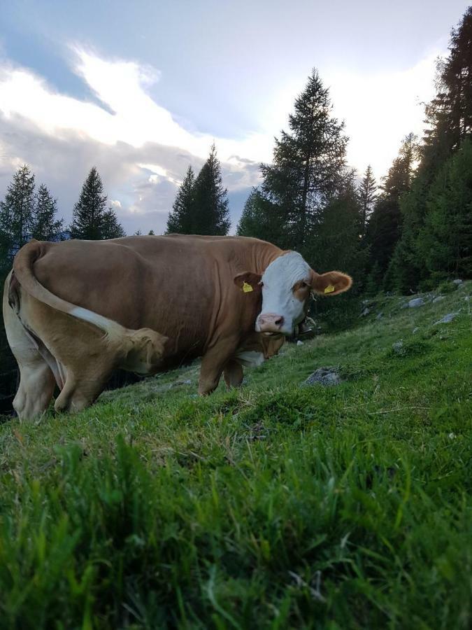 Ferienwohnung Am Bauernhof Zechner Heidi Flattach Exteriör bild